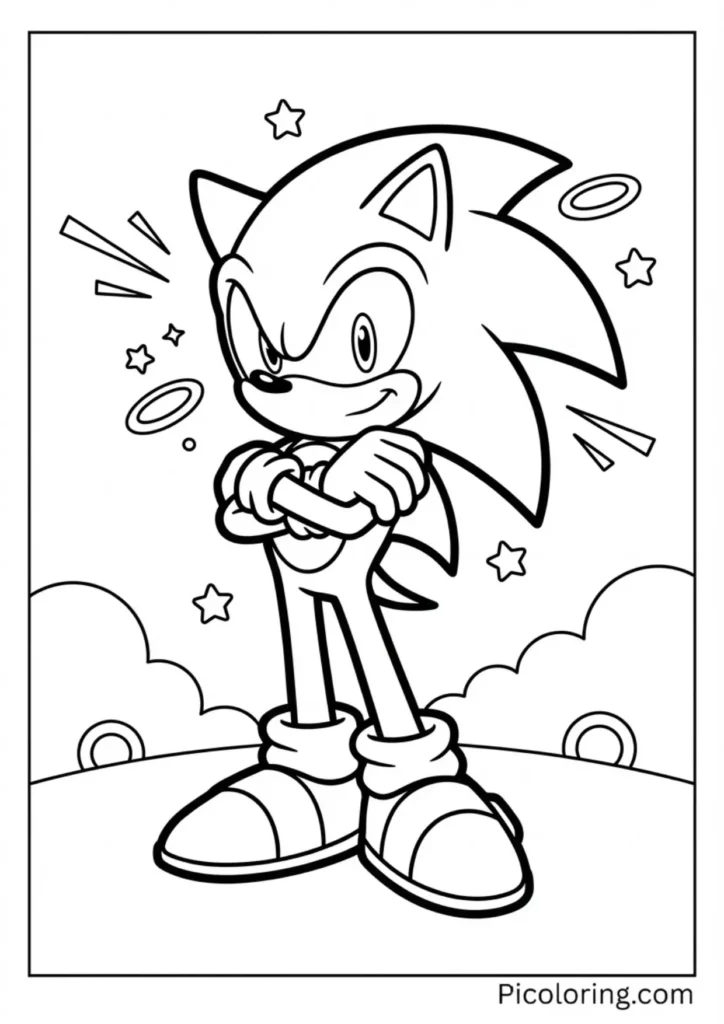 The cool and mysterious black hedgehog standing with crossed arms