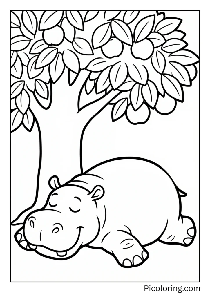 A hippo resting in the shade of a tree