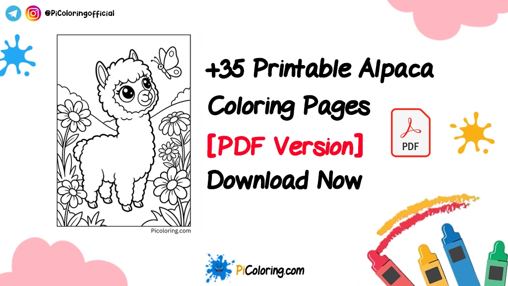 Alpaca Thumbnail 1024x576 Blog