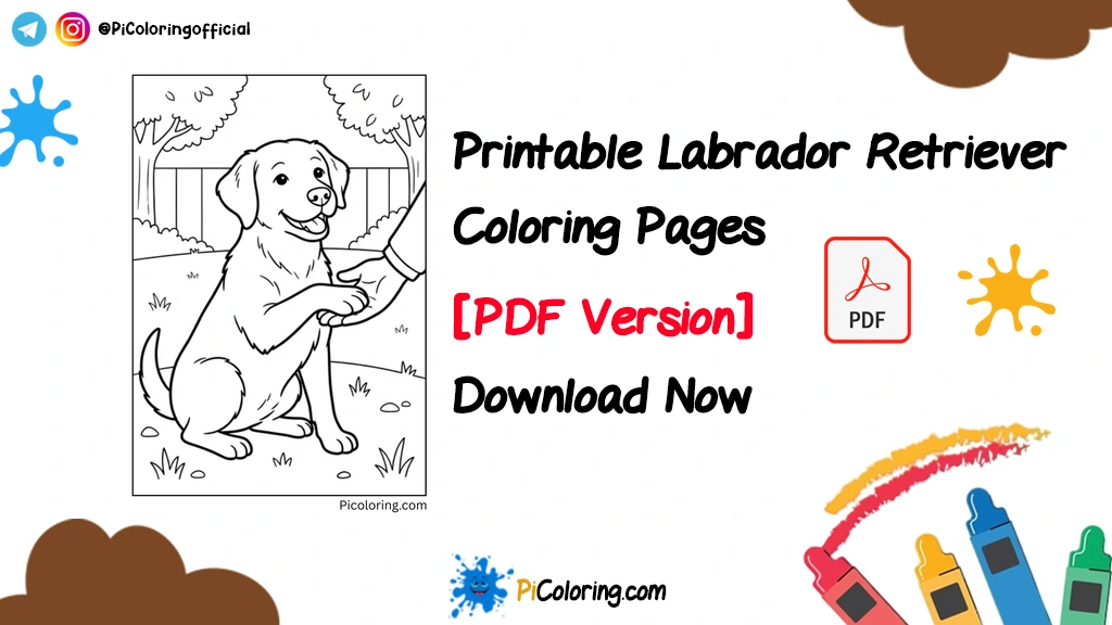 Labrador Retriever Thumbnail 1024x576