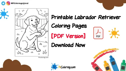 result_Labrador Retriever Thumbnail 1024x576